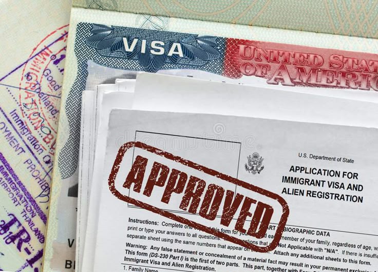 Visa Service